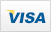 We accept Visa, Mastercard, American Express, Discover And Paypal.